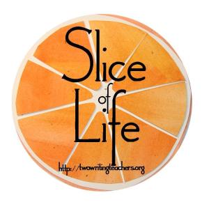 slice-of-life_individual
