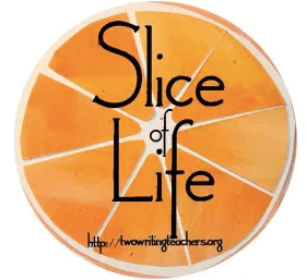 Screenshot 2020-07-14 at 10.50.00 PM.png